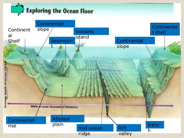 Ocean Floor Features MrityunJay